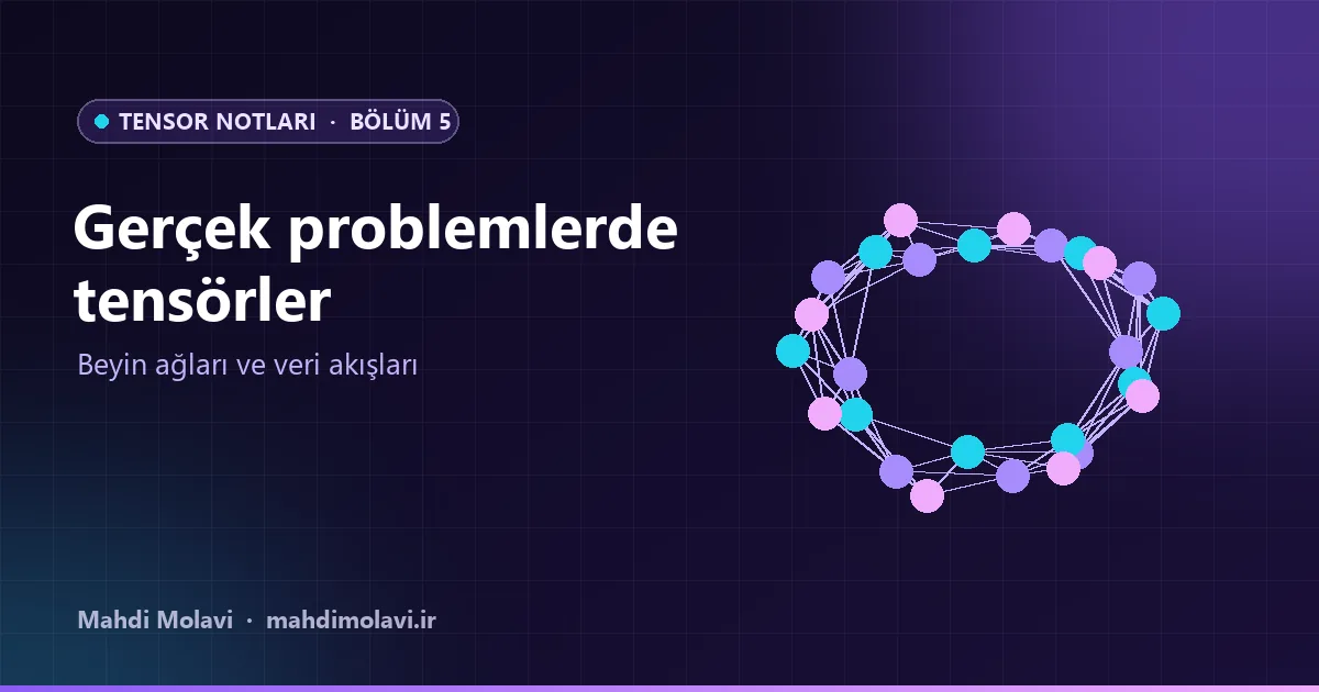Tensor Notları 5: Beyin Taramalarından Akan Veriye